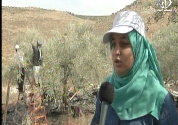 متطوعون يساندون المزارعين ضد مشاريع الكسارات جنوب طولكرم - أمون الشيخ - 12 - 10 - 2016