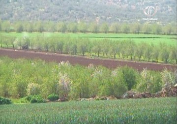 عشرة ملايين شجرة مثمرة في الضفة الغربية – 8 – 3 – 2015 - مراد أبوعمر