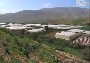 خسائر القطاع الزراعي في فلسطين بلغت ملايين الشواكل بفعل العاصفة – 13 – 2 – 2015 - مراد أبو عمر