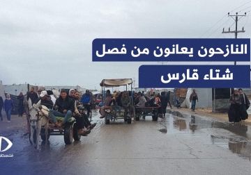  رحلة معاناة النازحة أم محمد التي تكافح للبقاء وسط الجوع والخوف