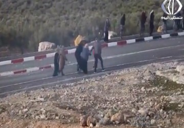 الحركة العالمية: حادثة استشهاد قصي العمور إمعان في القتل - ليال خروبي 