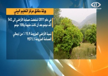 جيش الاحتلال يقتلع مليوني شجرة من الأراضي الفلسطينية خلال السنوات الفائتة - 14 - 1 - 2015 - نور الزمان شوقي