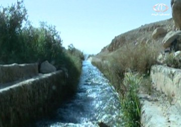 مخلـفات البيئة تتحول إلى تحف فنية على يدي نسرين أبو لوز – 17 – 12 – 2014 - مثنى النجار