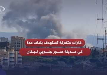 فلسطين اليوم توثق لحظة استهداف طائرات الاحتلال منطقة #الحوش في مدينة #صور جنوبي #لبنان