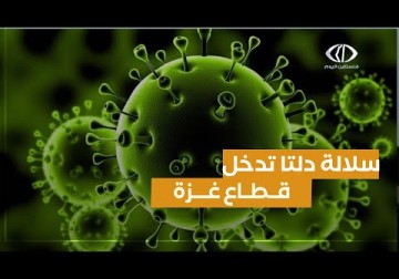 غزة | الصحة بغزة: سلالة دلتا دخلت قطاع غزة ونحذر من مخاطرها