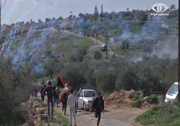 الاحتلال يقمع مسيرات مناوئة للاستيطان في مدن وقرى متفرقة بالضفة الغربية - 23 - 1 - 2015 - لبيبة شريفة