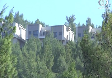 خسائر فادحة طالت اراضي المواطنين  بسبب الحرائق التي اشتعلت في الضفة الغربية - رغدة عتمة - 28 - 11 - 2016