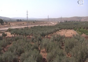 هآرتس تكشف عن تأجير سلطة أراضي الاحتلال في الثمانينيات ل1500 دونم - جهاد بركات - 16 - 10 - 2016