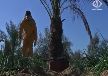 الاتحاد العام لنقابات عمال فلسطين: 70% من عمال غزة تحت خط الفقر - لبيبة شريفة - 29 - 4 - 2016