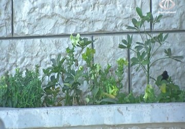 مبعدو كنيسة المهد الى غزة يطالبون المقاومة بإدراج قضيتهم في اى صفقة قادمة ‏ - رمزي ابو جزر - 3 - 4 - 2016