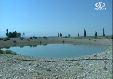 منظمات دولية توثق تفاقم أزمة المياه بسبب انتهاكات الاحتلال - 31 – 1 – 2015 – محمد عبد الحليم 