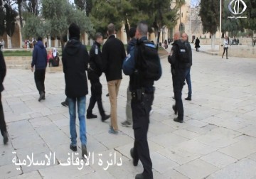 مستوطنون يقتحمون الأقصى وسط تضييق على المصليين - باسل الطناني - 8 - 6 - 2016