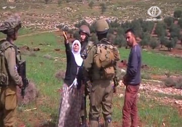 جرافات الاحتلال تقتلع نحو 300 شجرة زيتون من قرية سالم – 9 – 3 – 2015 – هادي خزعل