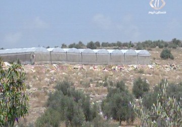 مزارعون يتحدون إخطارات بهدم منشآتهم الزراعية جنوب طولكرم  - 12 – 8 – 2015 - أمون الشيخ