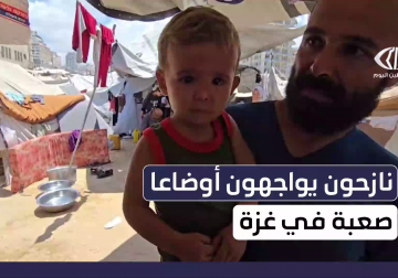 مراسل فلسطين اليوم يوثق معاناة عائلة أبو محمد البطش النازحة من شمال غزة