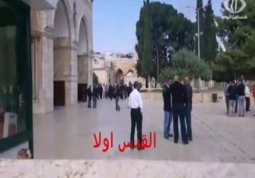 مستوطنون  يقتحمون ساحات المسجد الاقصى المبارك بحماية قوات الاحتلال - لبيبة شريفة - 4 - 5 -2016
