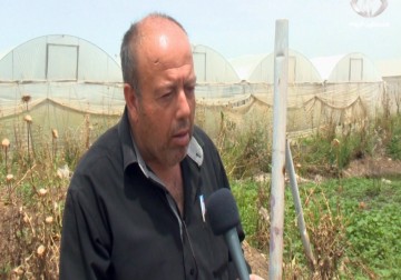 مخاوف من كارثة بيئية في الشعراوية شمال طولكرم بسبب عدم وجود نظام صرف صحي - 10 - 5 - 2016