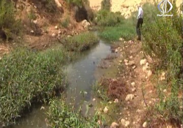 معاناة أهالي بيت عور الفوقا والتحتا غرب رام الله جراء المياه العادمة إليها طوال العام – 17 – 09 – 2016 – رغدة عتمة