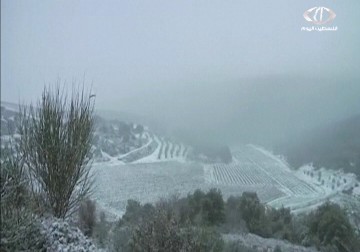 المقاومة اللبنانية تعيد معادلة الجولان والجليل إلى الواجهة في المواجهة مع الاحتلال - 28 - 1 - 2015 - سعدي أبو شعيرة