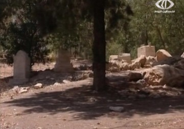 الاحتلال يحول مقبرة مسيحية شرقي مدينة عكا إلى حظيرة للأبقار – 5 – 2 – 2015 – ناصر ستة