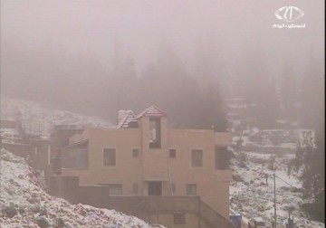 العاصفة الثلجية 