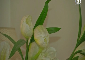 مراقبون: مهرجان رباط الدم كان استفتاء على قوة وحضور حركة الجهاد - رمزي أبو جزر - 29 - 7 - 2016   