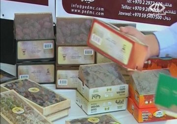 زراعة النخيل وانتاج التمور يتضاعف مقارنة بالأعوام الماضية  - 25 - 11 – 2014 – حسين مكي