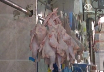 وزارة الزراعة تحدد أسعار اللحوم والدواجن في الضفة والتجار يرفضون الالتزام بالتسعيرة – 23 – 6 – 2015 - أمون الشيخ