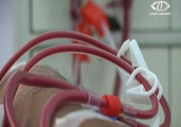 وزارة الصحة في غزة تحذر من تداعيات ازمة الكهرباء على القطاع الصحي - رمزي أبو جزر - 11 - 4 - 2016      