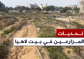 #تقرير | مراسل فلسطين اليوم خميس أبو حصيرة ينقل لكم التحديات التي يواجهها المزارعون في بلدة بيت لاهيا شمالي قطاع غزة عقب حرب الإبادة الإسرائيلية