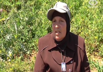 أهالي الشهداء يزرعون شجرا بأسماء أبنائهم في أرض سيدي شيبان المهددة في البيرة - جهاد بركات - 31 - 3 - 2016