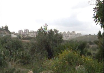 الاحتلال يمدد مصادرة نحو 400 ألف دونم من منطقة العزل الشرقية - 15 – 2 – 2015 –   زينب أبو ضاهر