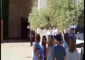 عشرات المستوطنين يقتحمون ساحات المسجد الأقصى بحراسة مشددة من شرطة الاحتلال - هادي خزعل - 23 - 6 - 2016