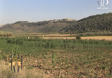 تقرير| سلطات الاحتلال تواصل قضم المزيد من الاراضي الزراعية في يعبد