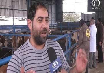 بعد وصول اللقاحات ... وزراه الزراعة تؤكد انها تمكنت من السيطرة على فيروس 