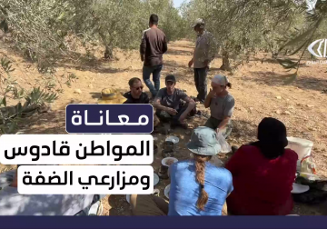 ناصر قادوس مزارع من بلدة #بورين يصمد في وجه اعتداءات المستوطنين على أرضه