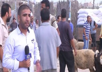 تراجع في عدد الأضاحي في غزة بسبب الارتفاع الكبير بأسعارها – 22 – 09 – 2015 – أكرم دلول