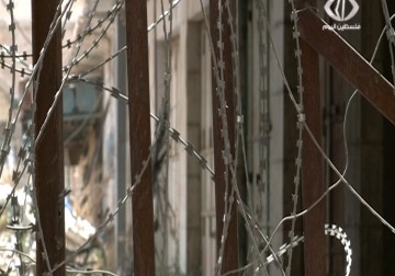 لجنة إعمار غزة تكشف عن إنتهاكات صارخة للإحتلال بحق سوق الذهب - 3 - 8 - 2015 - فداء نصر