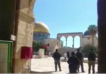 تقرير| ‏3 أعضاء من كنيست الاحتلال يقتحمون ساحات المسجد الأقصى بحماية شرطة الاحتلال