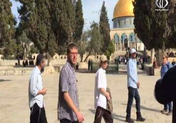 اعتقال حارس وإبعاد موظفين من الأوقاف عن المسجد الأقصى - محمد المدهون - 29 - 7 - 2016