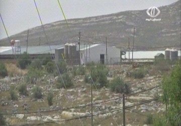 نسبة الأراضي الفلسطينية المسجلة في الطابو تصل إلى 35% فقط من إجمالي اراضي الضفة - 12 - 6 - 2015 - رغدة عتمة