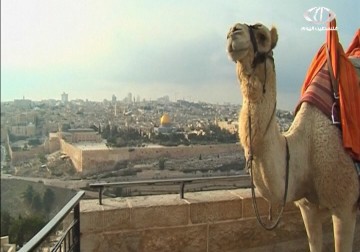 معرض يختصر تاريخ القدس المحتلة بالصور – 1 – 12 – 2014 – نورا المشهراوي