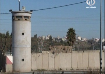 قوات القمع مدعمة بالكلاب البوليسية تقتحم قسم 1 بسجن ريمون  - 5 - 8 - 2015 - فاطمة عبد الجواد