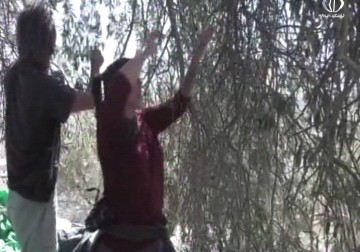 حملة لقطف ثمار الزيتون في الاراضي المهددة بالمصادرة - رغدة عتمة - 14 - 10 - 2016