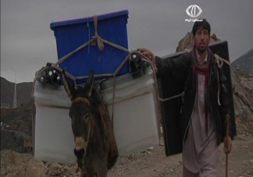 أفغانستان: الحمير تشارك في تحضير الاستحقاقات الديمقراطية - 4 - 4 - 2014 - فاطمة ابراهيم