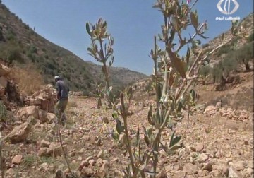 سلطات الاحتلال تخطر مواطنين من قرية قراوة بني حسان بإخلاء أراضيهم – 21 – 09 – 2015 – رغدة عتمة