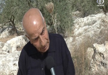 دعوات إلى توعية قانونية تحمي الأراضي خلف الجدار - أمون الشيخ - 17 - 11 - 2016