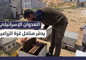 العدوان الإسرائيلي يدمر مناحل غزة الزراعية