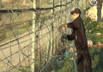 مطالبات بالتدخل الدولي لحماية المواطنين من اعتداءات المستوطنين في الخليل – 13 – 12 – 2015 – فداء نصر