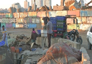 الصليب الأحمر يطّلع على أوضاع الصيادين ويطالب الاحتلال بتوسيع مساحة - مريم الحاج موسى - 8 - 11 - 2016